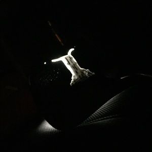 Meet your Posher, Yayatana